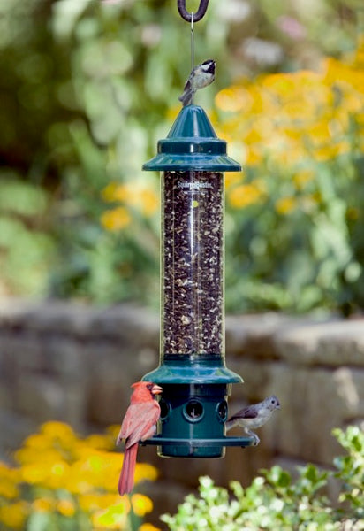Squirrel Buster Seed Feeders
