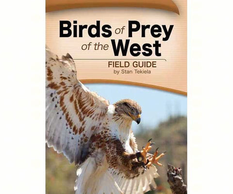Birds of Prey Field Guide