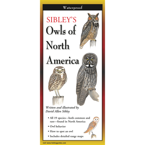 Sibley's Foldout Guide to Owls of North America