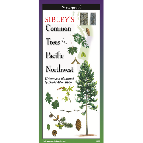 Sibley's Foldout Guide to Common Trees of the Pacific NW