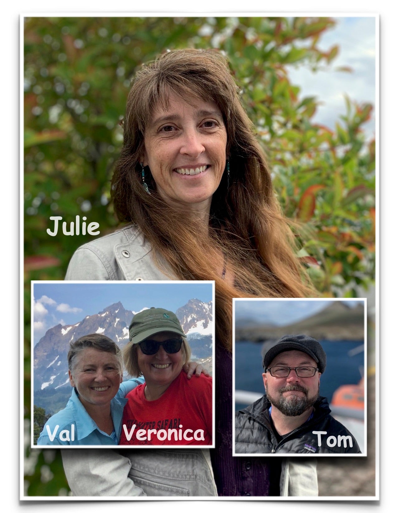 Meet the Team