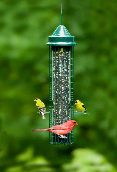Squirrel Buster Seed Feeders