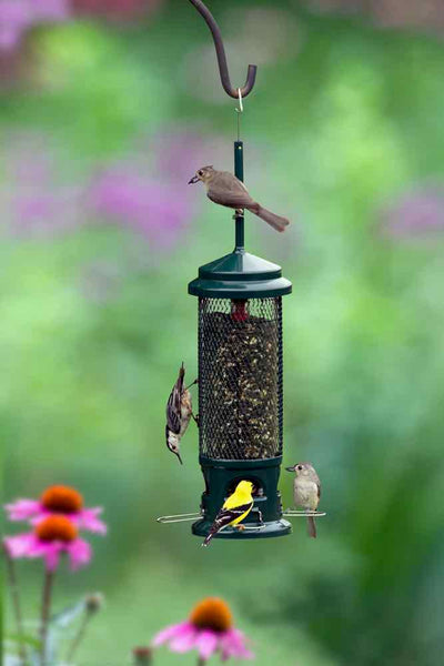 Squirrel Buster Seed Feeders