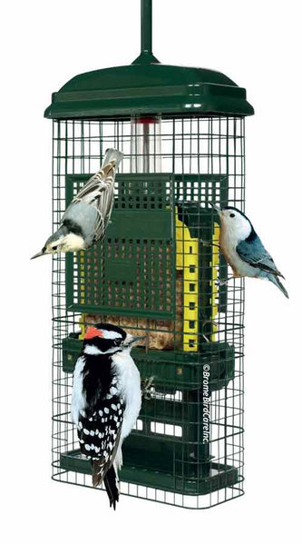 Squirrel Buster Seed Feeders