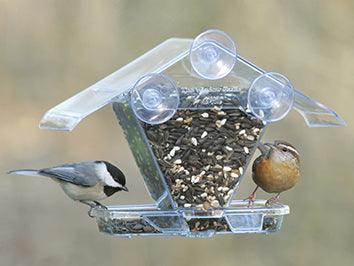 Window Seed Feeder