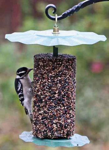 Cylinder Seed Cake Holder