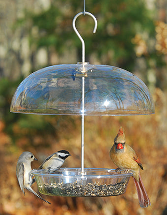 Vista Dome Feeder