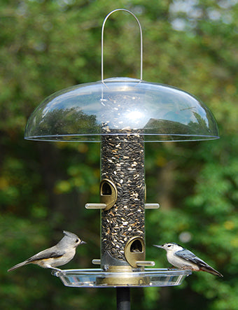 Seed Feeder Tube Quick-Clean