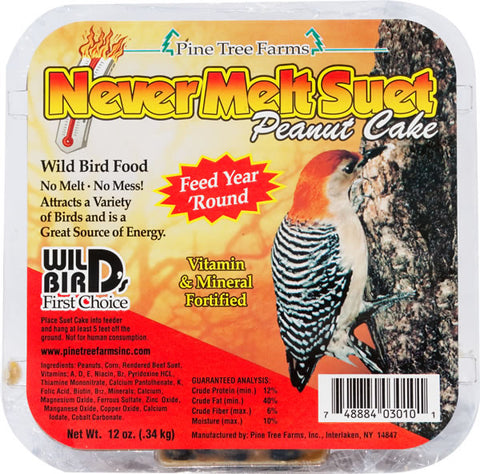 Suet Never Melt Peanut Cake