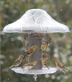 Dome Protective-Slot Top