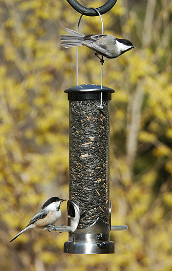 Seed Feeder Tube Quick-Clean