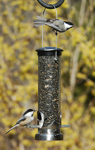 Seed Feeder Tube Quick-Clean