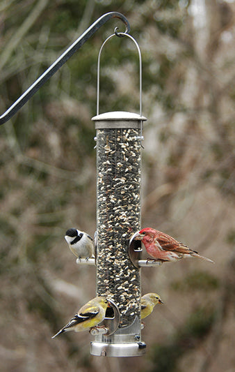 Seed Feeder Tube Quick-Clean