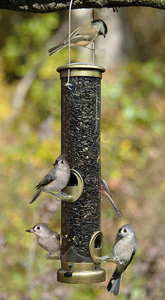 Seed Feeder Tube Quick-Clean