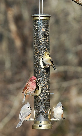 Seed Feeder Tube Quick-Clean