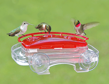 Hummingbird Window Feeders