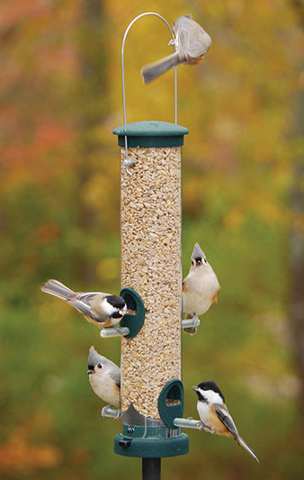 Seed Feeder Tube Quick-Clean