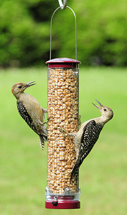 Peanut Mesh Feeder Quick-Clean