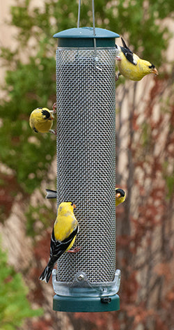 Nyjer Mesh Feeder Quick-Clean