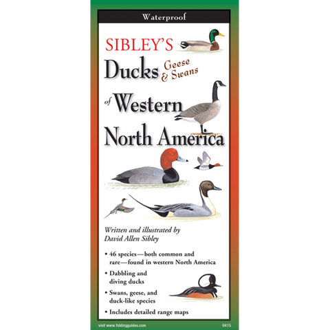 Sibley's Foldout Guide to Ducks, Geese & Swans of Western North America