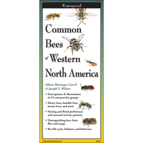 Foldout Guide to Common Bees of Western North America