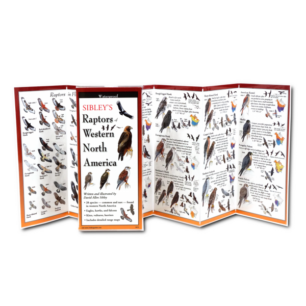 Sibley's Foldout Guide to Raptors of Western North America