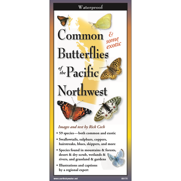 Foldout Guide to Common Butterflies of the PNW