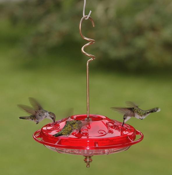 Hummzinger Fancy Hummingbird Feeder