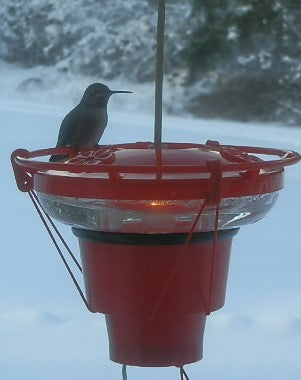 Heater for hummingbird feeders