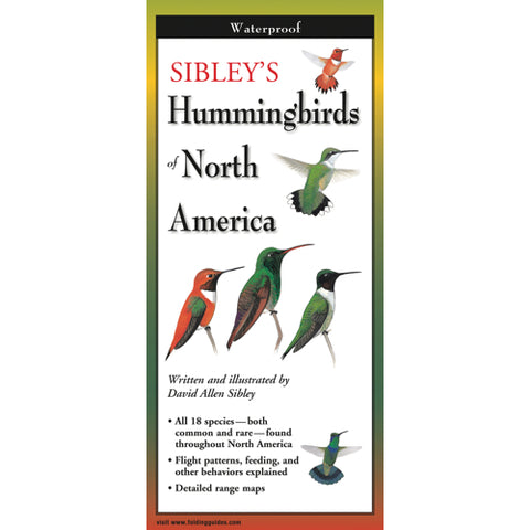 Sibley's Foldout Guide to NA Hummingbirds