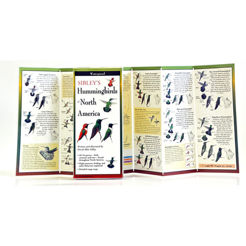 Sibley's Foldout Guide to NA Hummingbirds