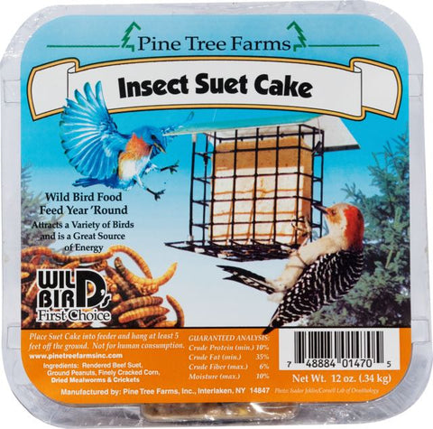 Suet Insect