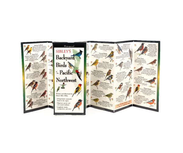 Sibley's Foldout Guide to Backyard Birds Pacific NW