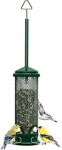 Squirrel Buster Seed Feeders
