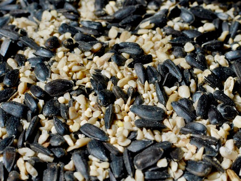 Motorcycle Mix Wild Bird Seed