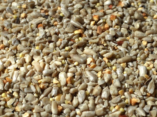 planting wild bird seed Premium No-Grow Wild Bird Seed