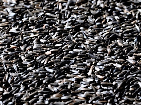 Nyjer/Thistle Wild Bird Seed