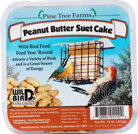 Suet Peanut Butter Cake