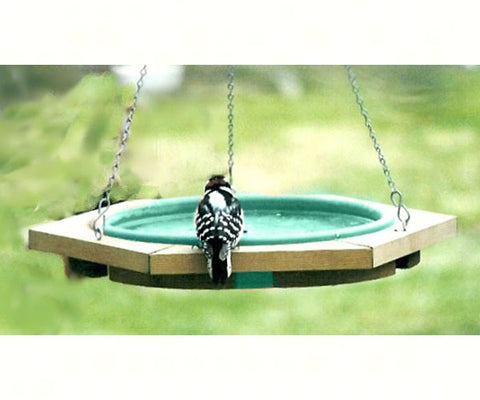 Bird Bath Hanging Mini Green