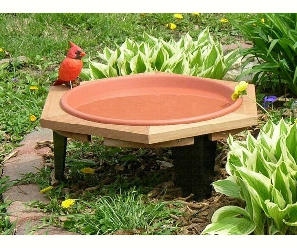 Bird Bath Mini with cedar frame