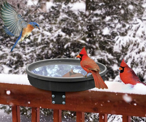 Bird Bath Songbird Spa