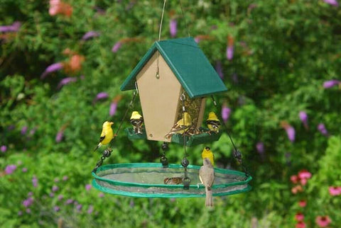 Seed Hoop