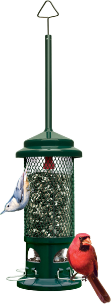 Squirrel Buster Seed Feeders