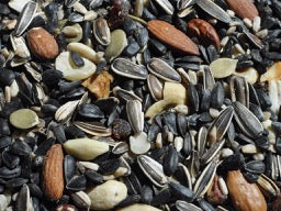 Songbird Special Wild Bird Seed