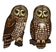 Earrings Jabebo