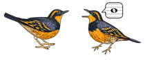 Earrings Jabebo