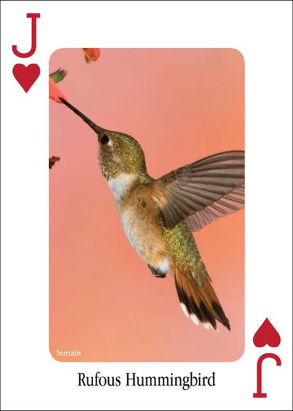 Hummingbirds Playing Cards