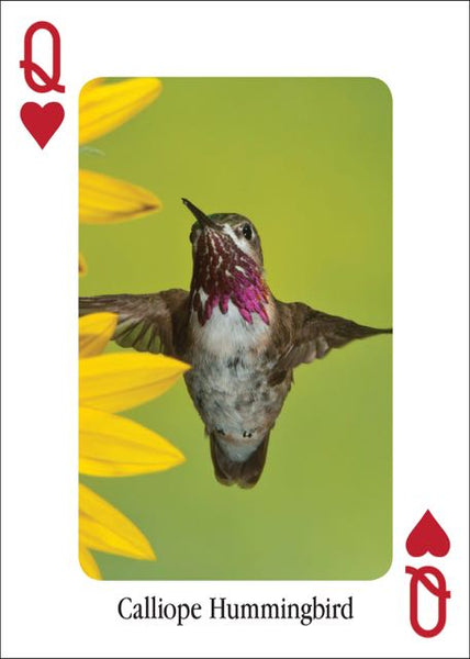 Hummingbirds Playing Cards