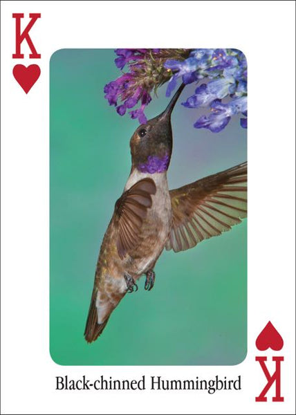 Hummingbirds Playing Cards